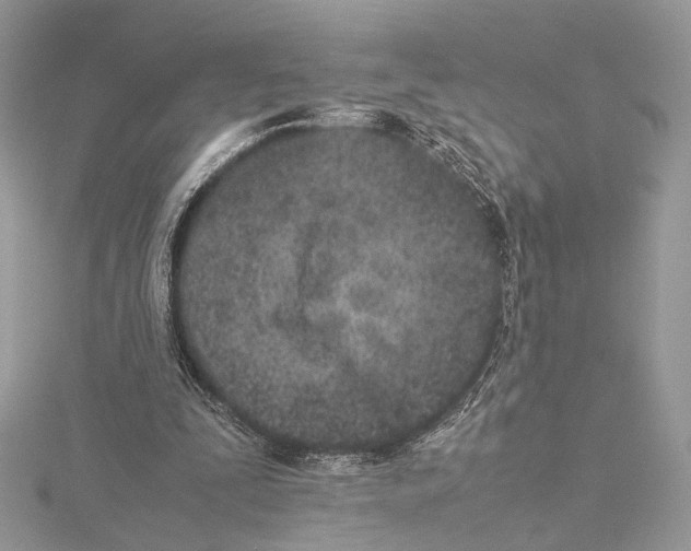 X0000115540295200912041017