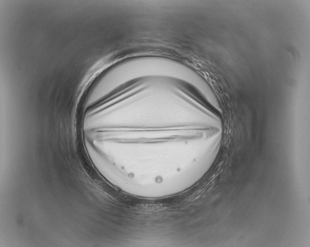 X0000115540296200912041017