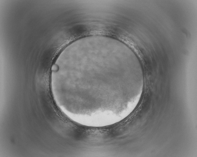 X0000115540297200912041017