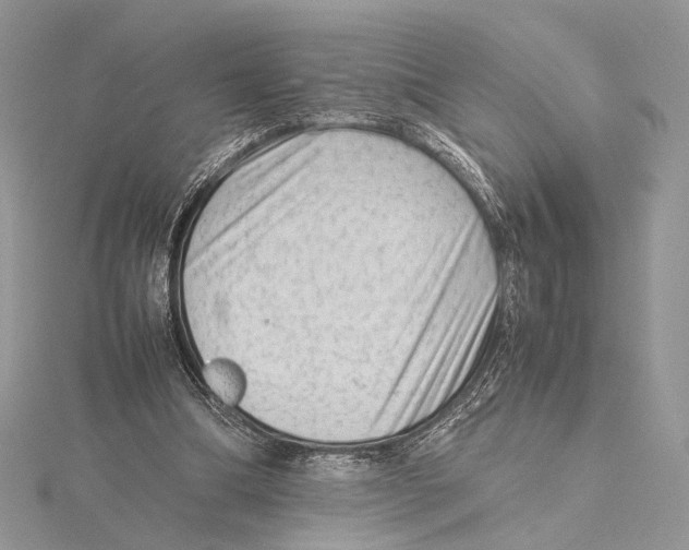 X0000115540298200912041017