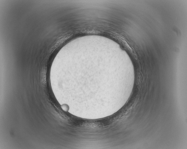 X0000115540299200912041017