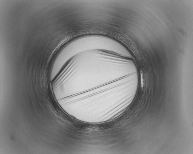 X0000115540300200912041017