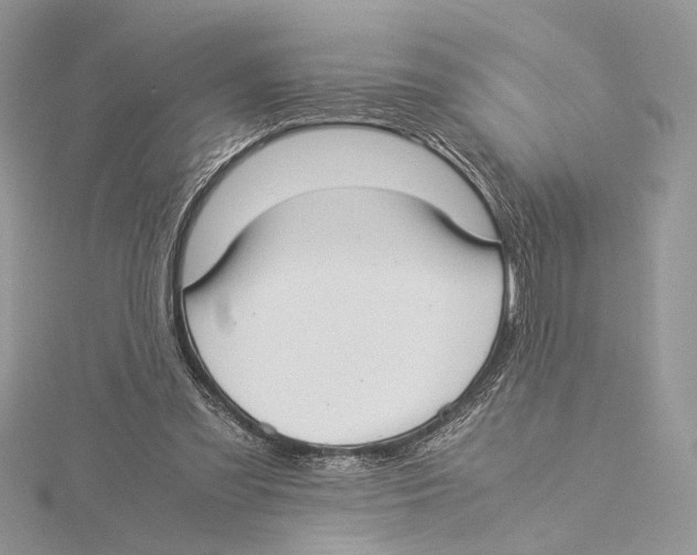 X0000115540301200912041017