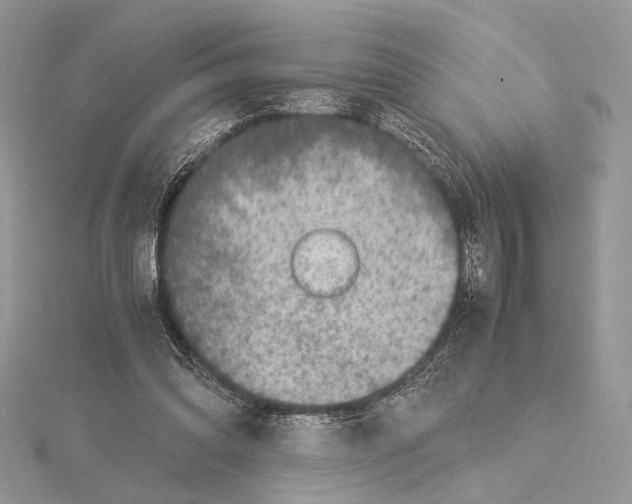 X0000115540302200912041016