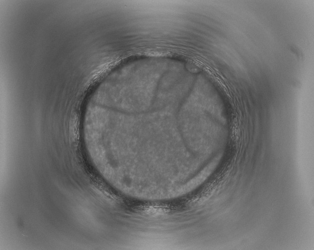 X0000115540303200912041016