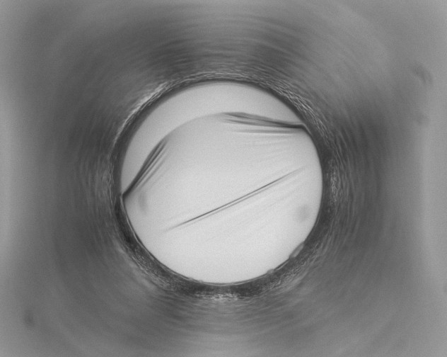 X0000115540304200912041016