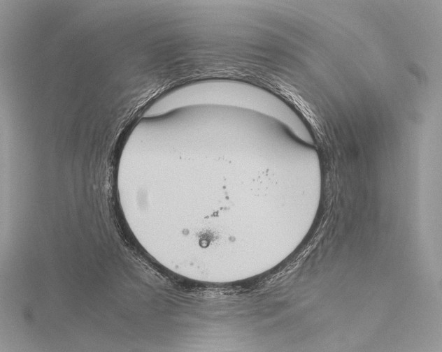 X0000115540305200912041016