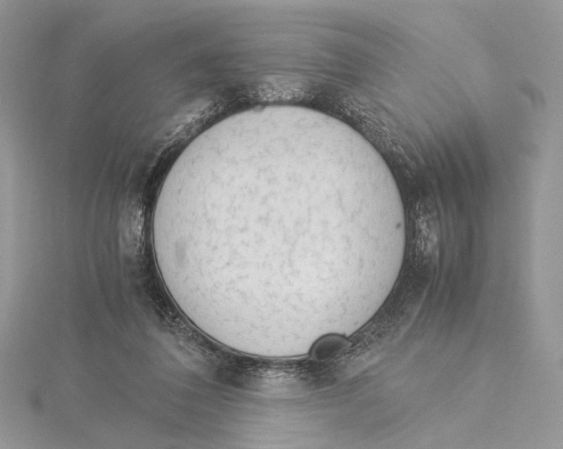 X0000115540308200912041016