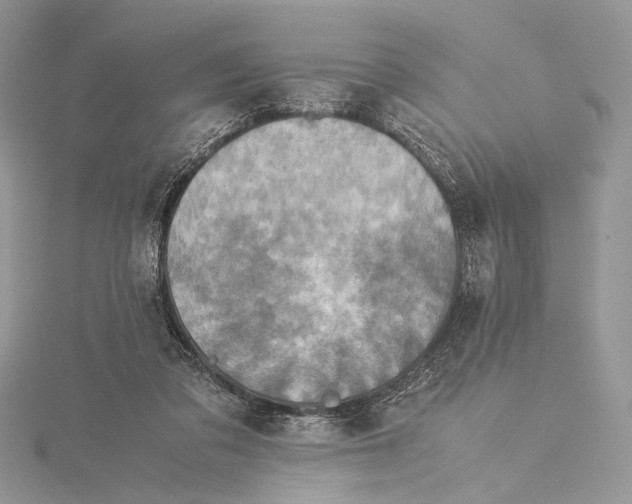 X0000115540309200912041016