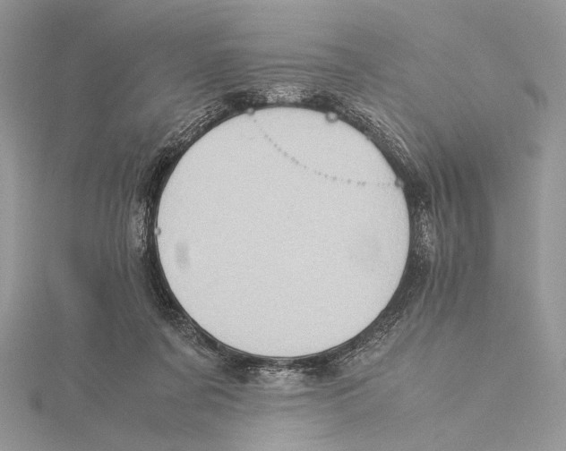 X0000115540311200912041016