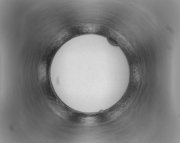 X0000115540312200912041016