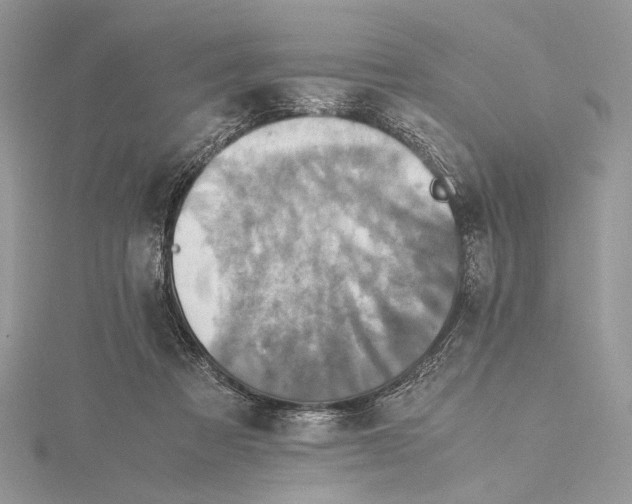 X0000115540313200912041016