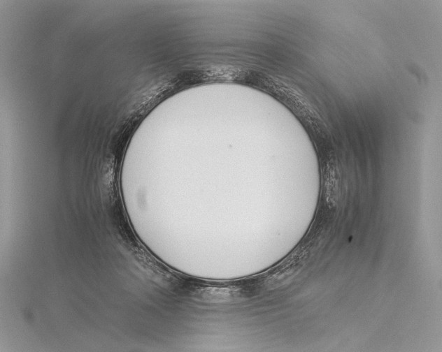 X0000115540314200912041016