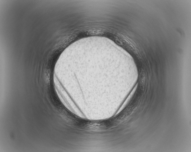 X0000115540315200912041016