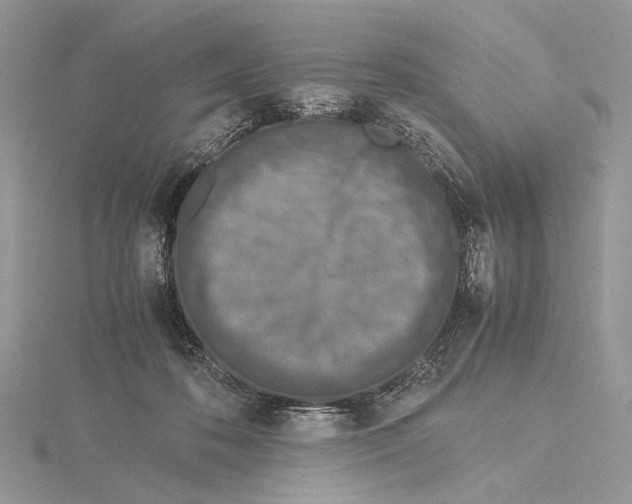 X0000115540316200912041016