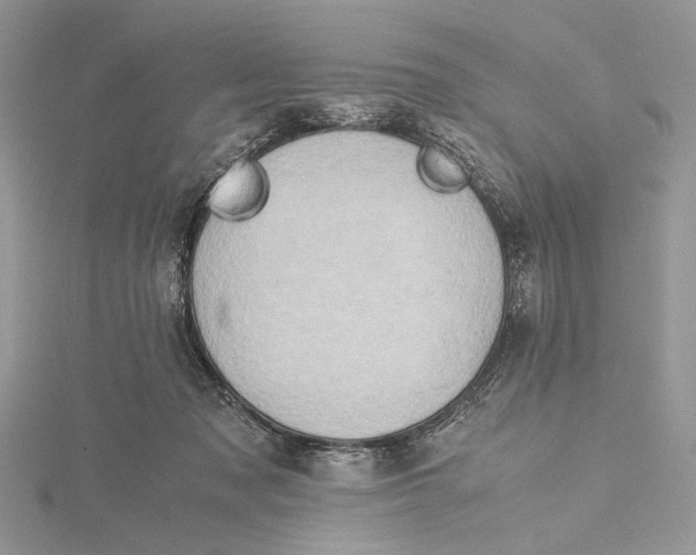 X0000115540317200912041016