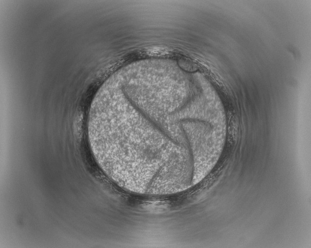 X0000115540319200912041016