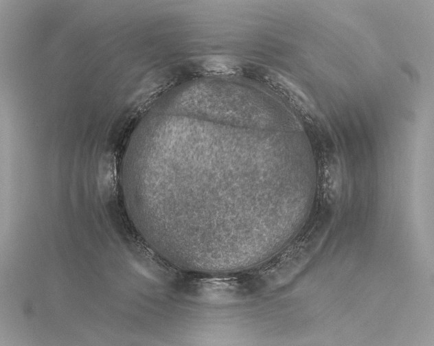 X0000115540320200912041016