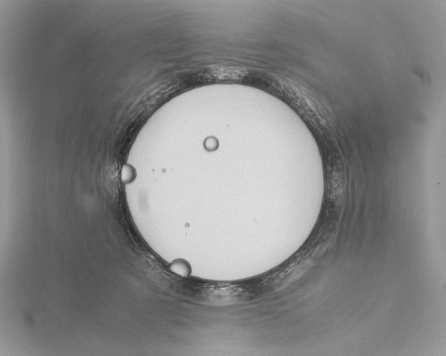 X0000115540321200912041016