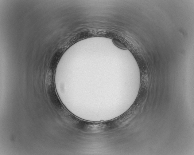 X0000115540323200912041016