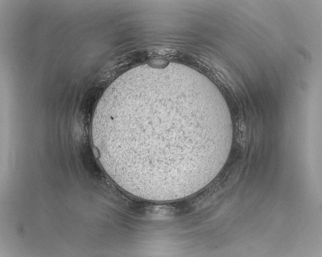 X0000115540324200912041016