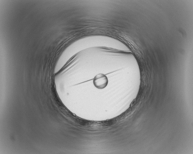 X0000115540325200912041016