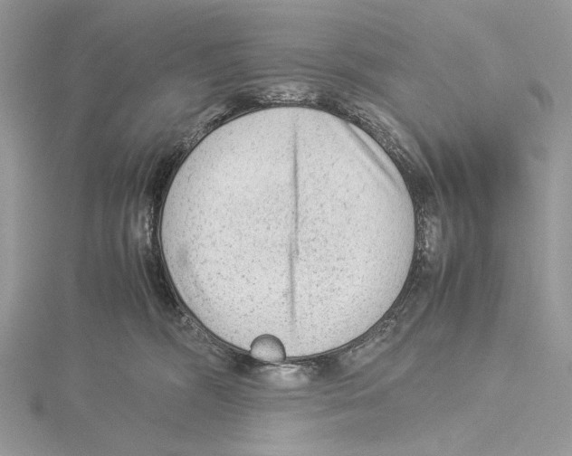 X0000115540326200912041016