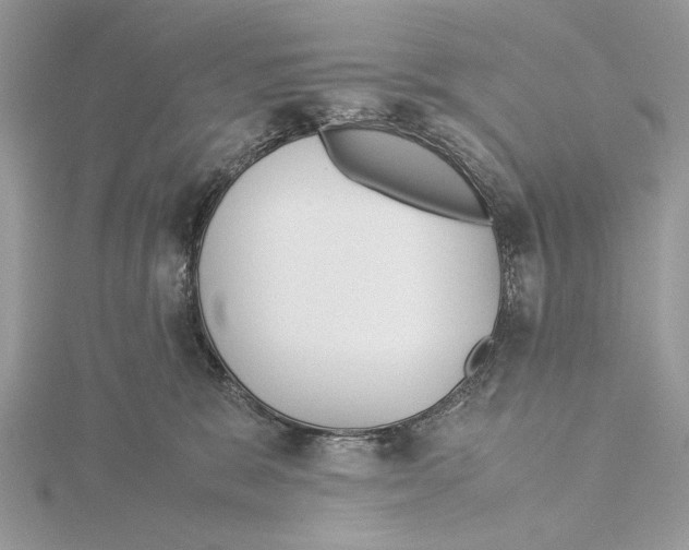 X0000115540327200912041016