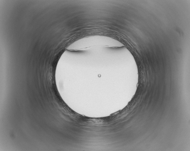 X0000115540328200912041016