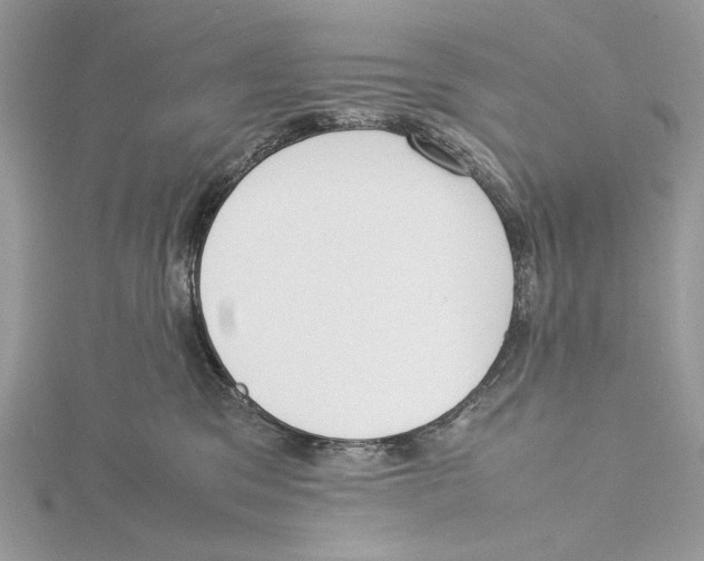 X0000115540329200912041016