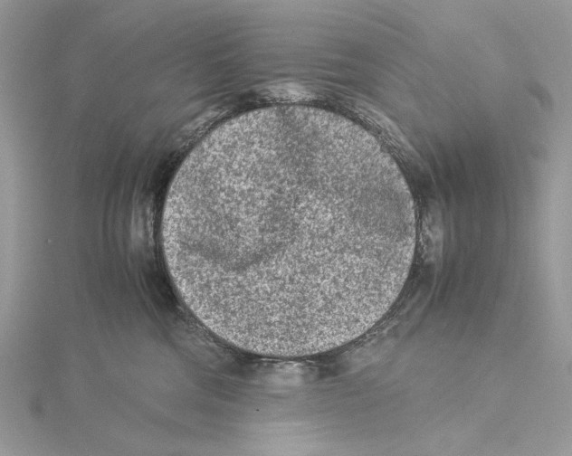 X0000115540330200912041016