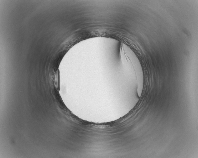 X0000115540332200912041016