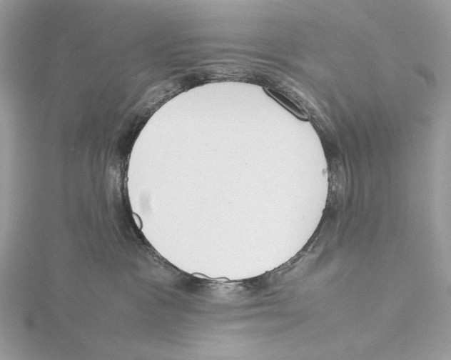 X0000115540333200912041016