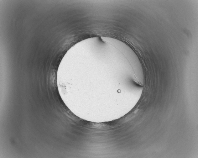 X0000115540336200912041016