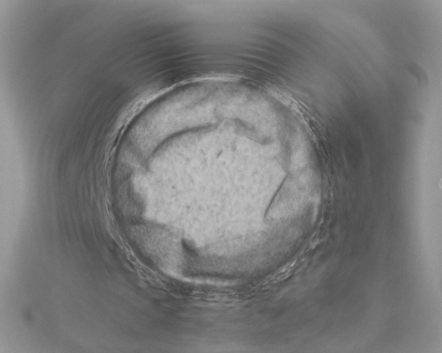 X0000115540337200912041015