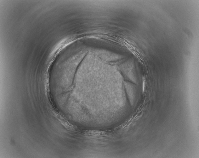 X0000115540339200912041015