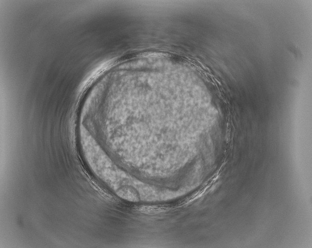 X0000115540341200912041015