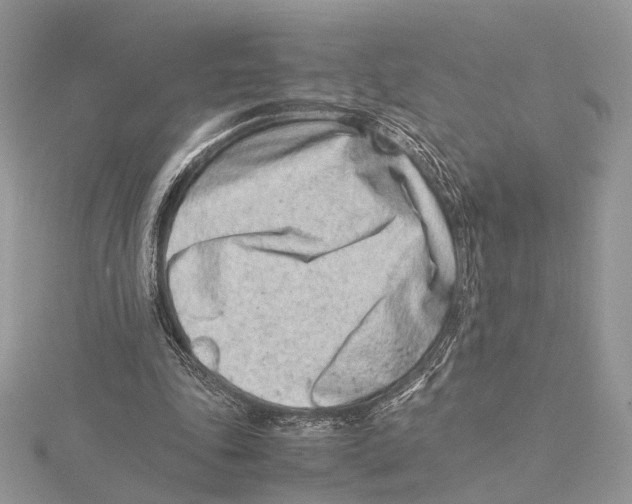 X0000115540343200912041015