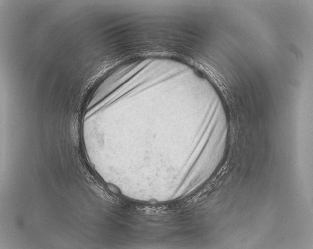 X0000115540345200912041015