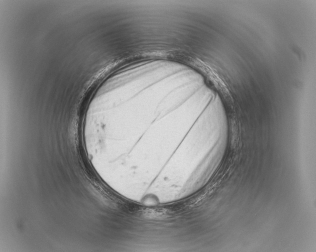 X0000115540346200912041015