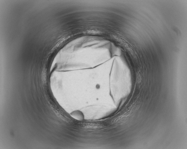 X0000115540347200912041015