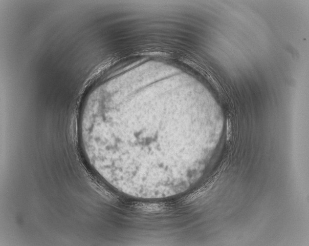 X0000115540349200912041015