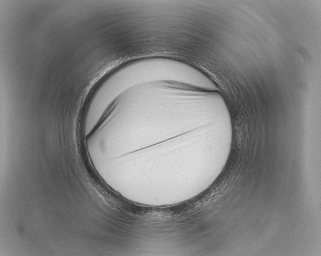 X0000115540350200912041015