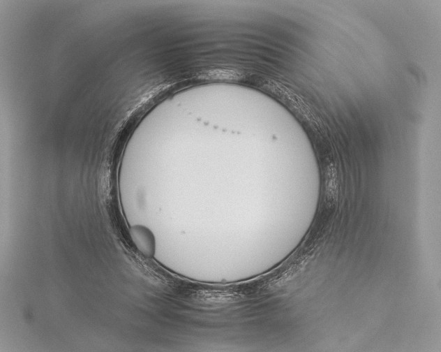 X0000115540351200912041015