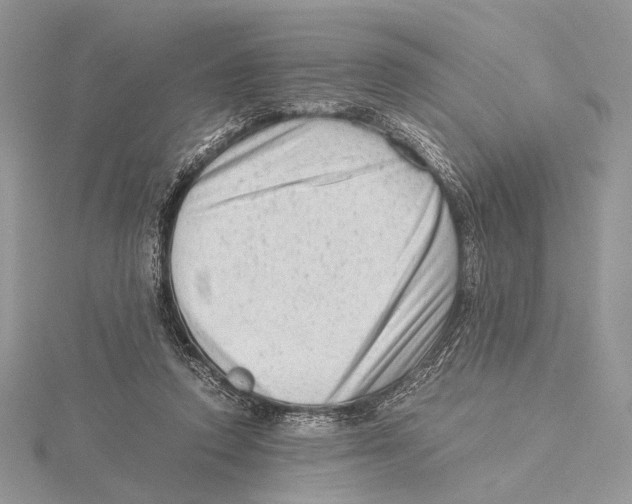 X0000115540354200912041015