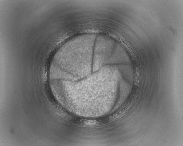 X0000115540355200912041016