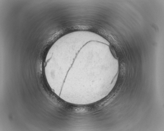 X0000115540358200912041016