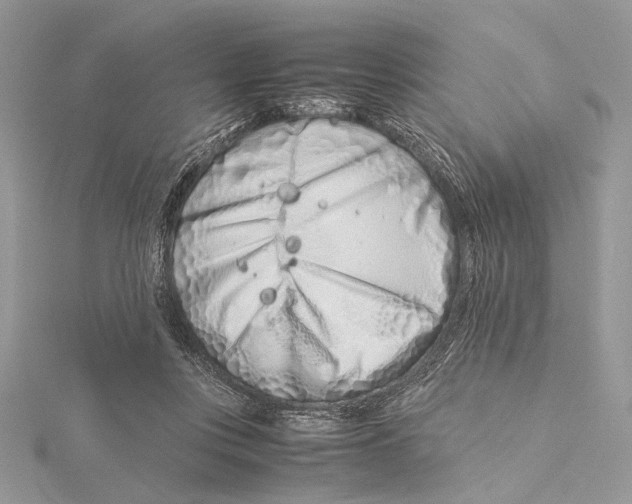 X0000115540359200912041016