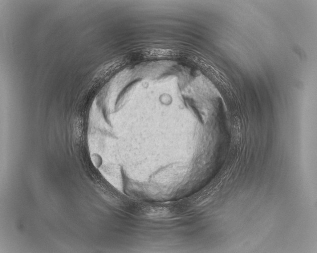 X0000115540361200912041016