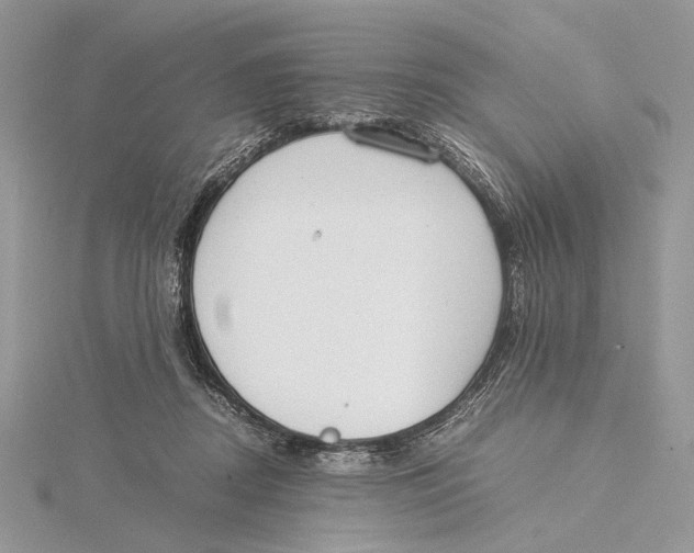 X0000115540362200912041016